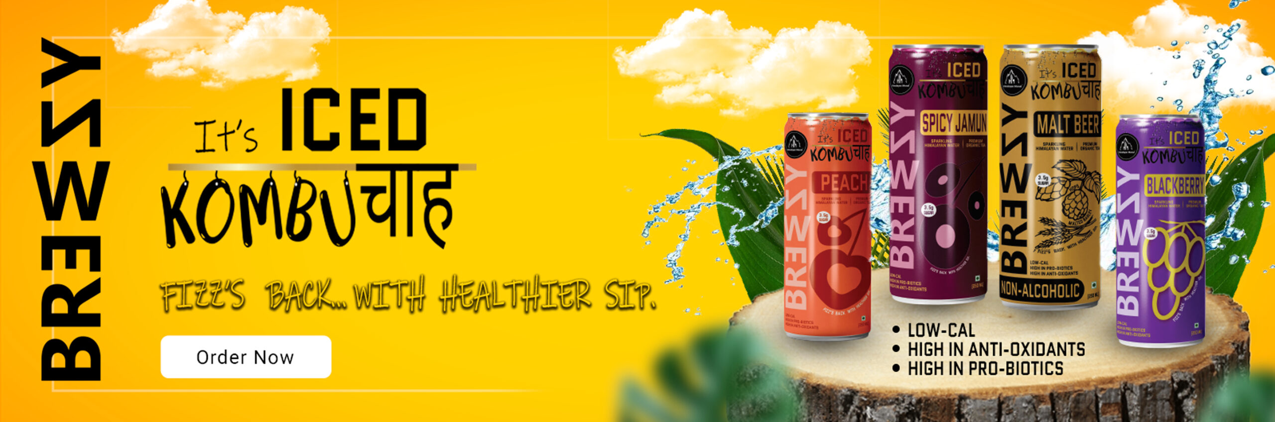 Kombucha-new-website-banner