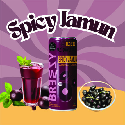 Spicy Jamun Kombucha / Fermented Iced Drink